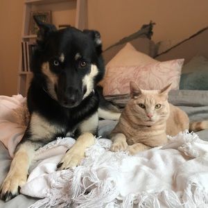 Meet your Posher, Maura